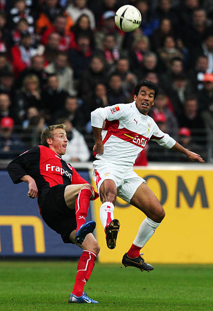 地位和发展 地位和发展